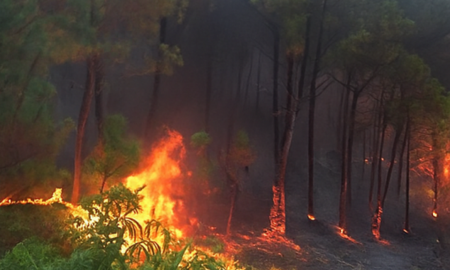 Tác động của biến đổi khí hậu đến nguy cơ cháy nổ tại Việt Nam